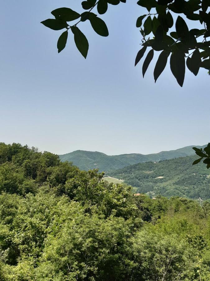 Country Residence Turicchi Londa Extérieur photo